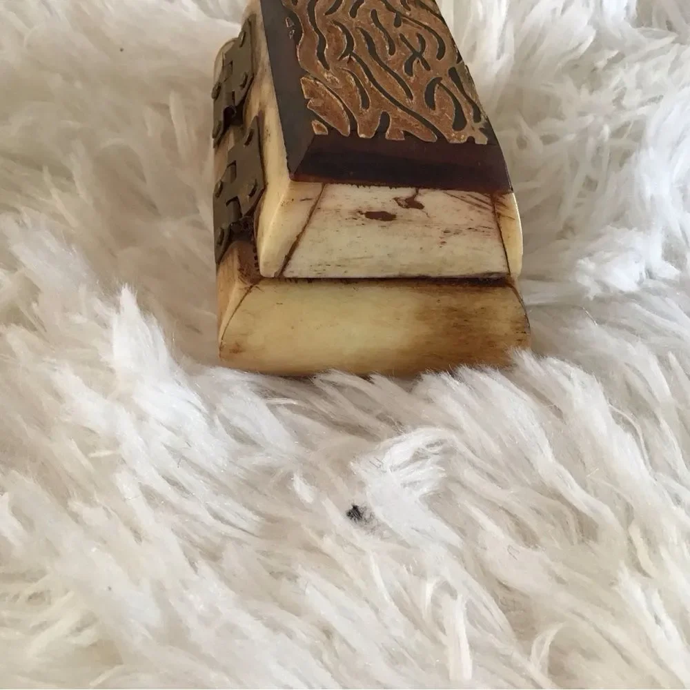 Handcrafted Trinket Box Camel Bone Brass Hinges Velvet Lined Carved Wood Top - Picture 4 of 7